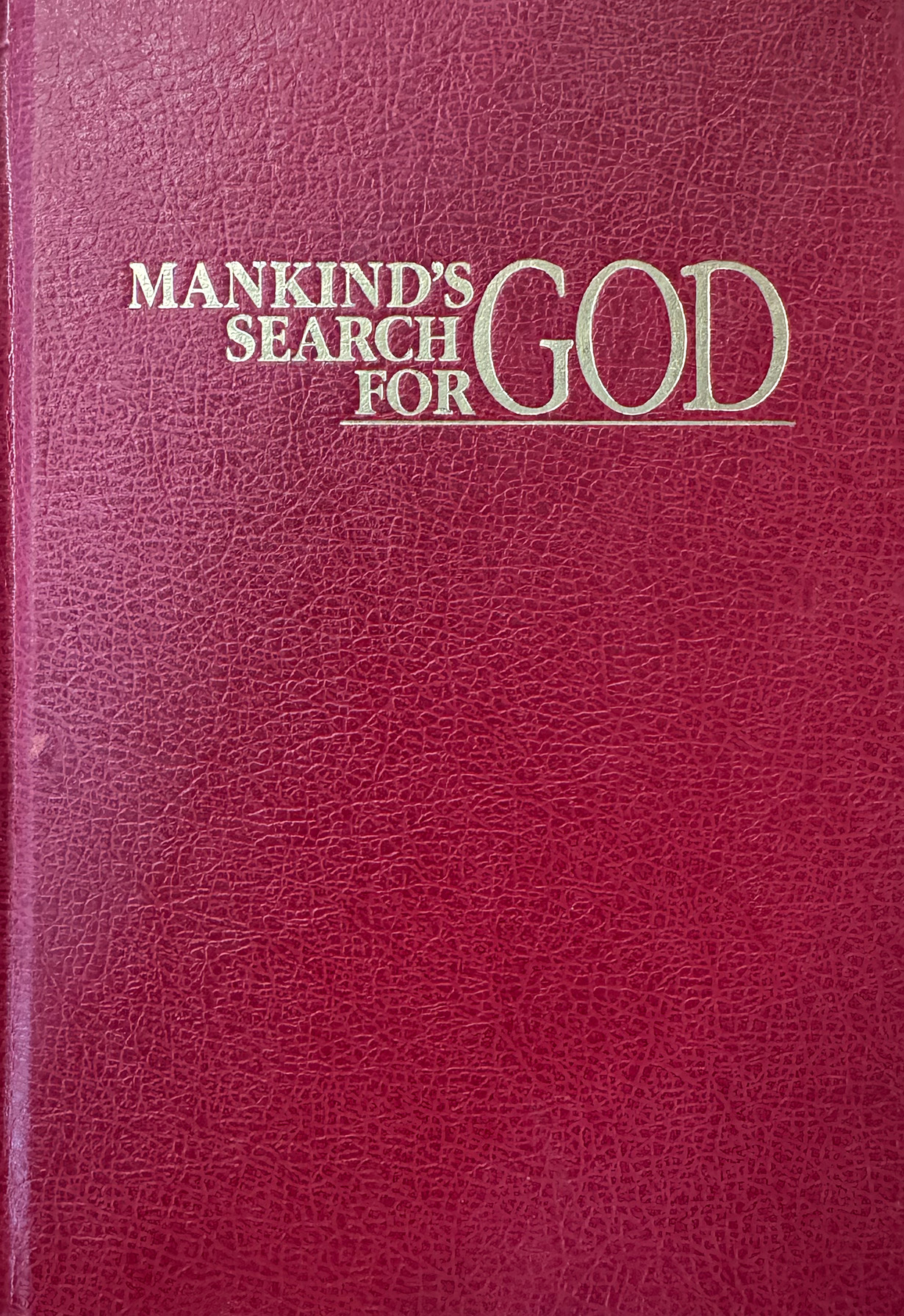 Search : a novel cover