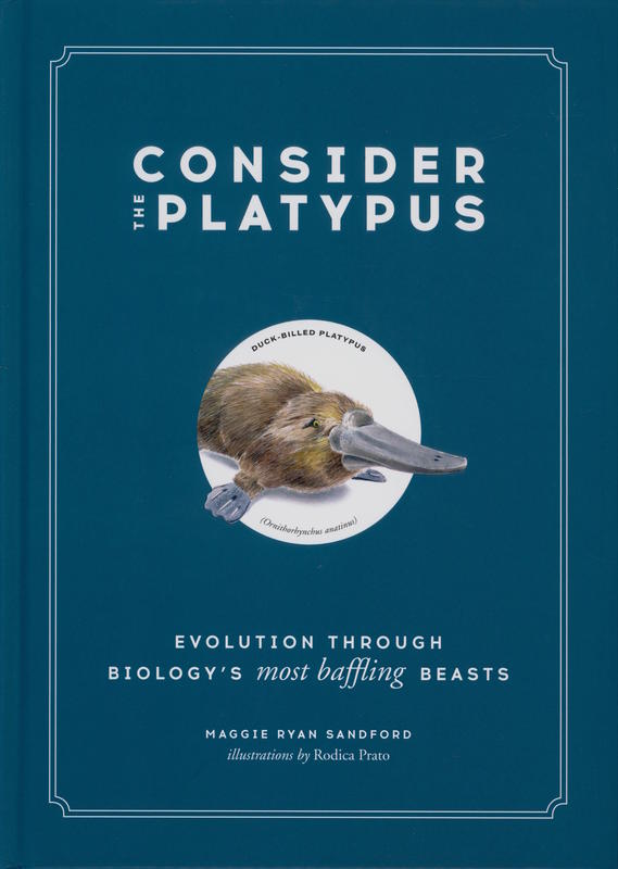 Consider the platypus : evolution through biology's most baffling beasts / Maggie Ryan Sandford ; illustrations by Rodica Prato cover