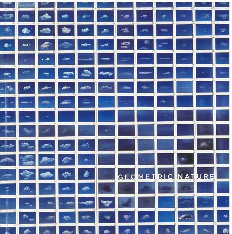 Geometric nature : Dean Chatwin, David Martin, Amanda Shone, David Keeling, Anne Mestitz / curated by Lucy Hawthorne cover