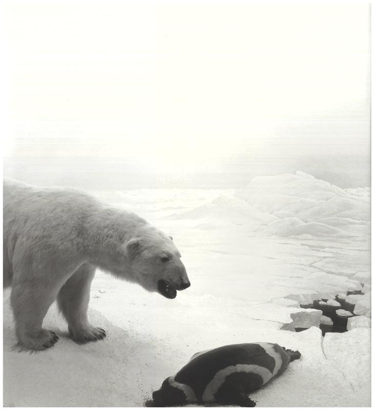 Hiroshi Sugimoto : Dioramas cover