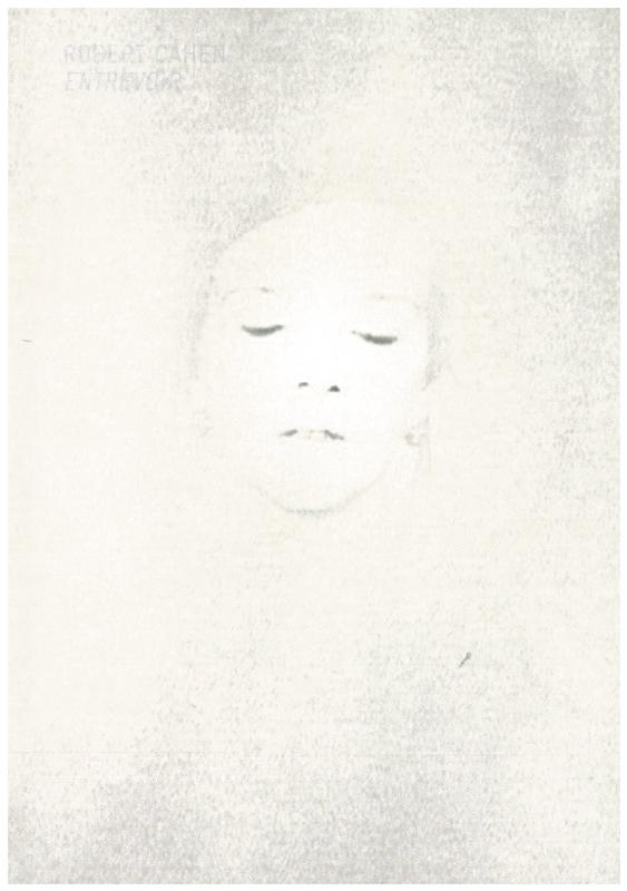 Robert Cahen : entrevoir cover