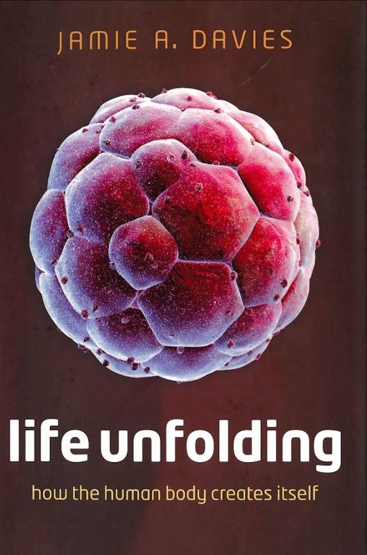 Life unfolding : how the human body creates itself / Jamie A. Davies cover