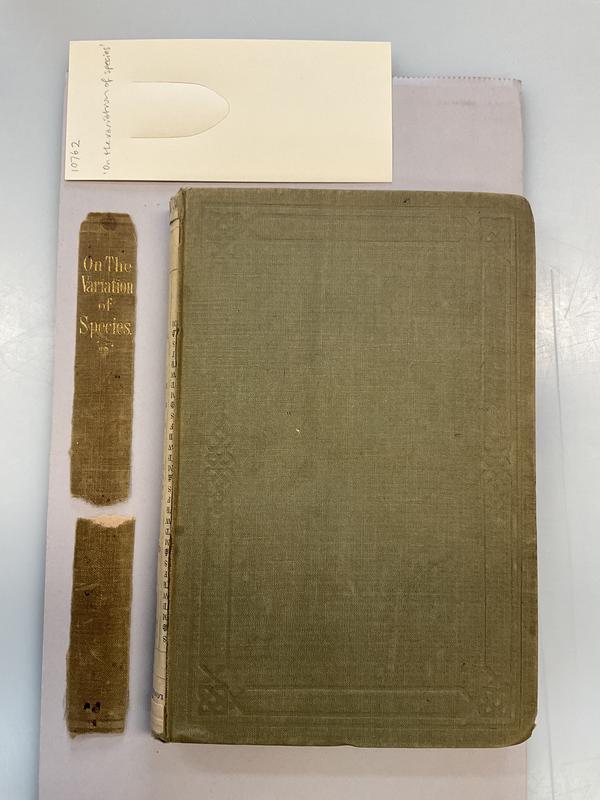 On the variation of species : with special reference to the Insecta, followed by an inquiry into the nature of genera / by T. Vernon Wollaston cover