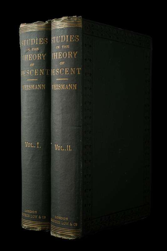 Studies in the theory of descent : volume I / by Dr. August Weismann cover