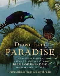 Drawn from paradise : the natural history, art and discovery of the birds of paradise / David Attenborough and Errol Fuller cover