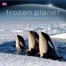 Frozen planet : a world beyond imagination / Alastair Fothergill and Vanessa Berlowitz ; foreword by David Attenborough cover