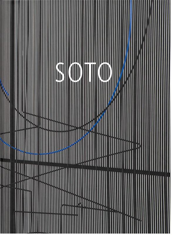 Jesus Rafael Soto / [texts by Matthieu Poirier and Arnauld Pierre] cover