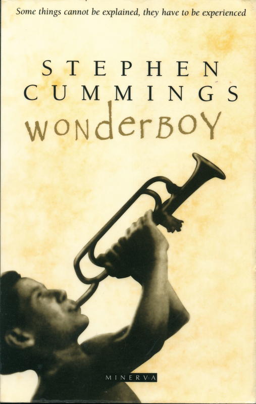 Wonderboy / Stephen Cummings cover