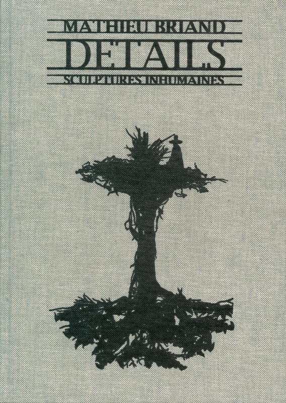 Details : sculptures inhumaines / Mathieu Briand cover