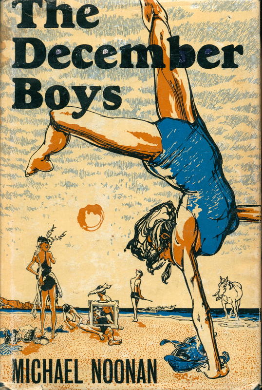 The December boys / Michael Noonan cover