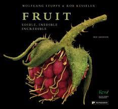 Fruit : edible, inedible, incredible / Wolfgang Stuppy & Rob Kesseler ; edited & designed by Alexandra Papadakis cover