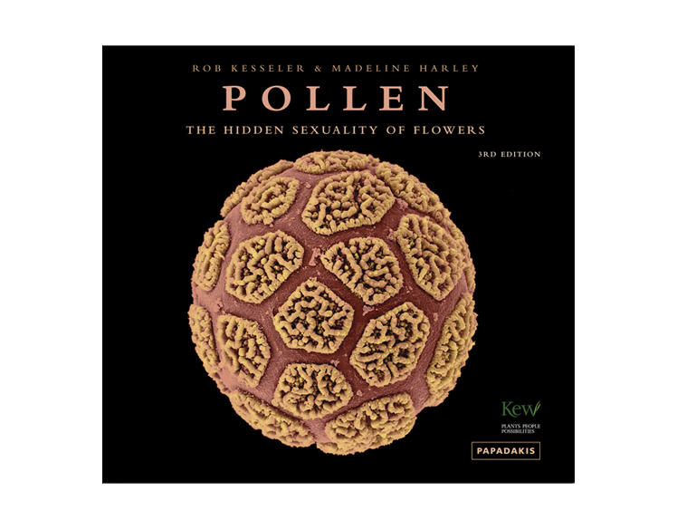 Pollen : the hidden sexuality of flowers / Rob Kesseler & Madeline Harley ; edited and designed by Alexandra Papadakis cover