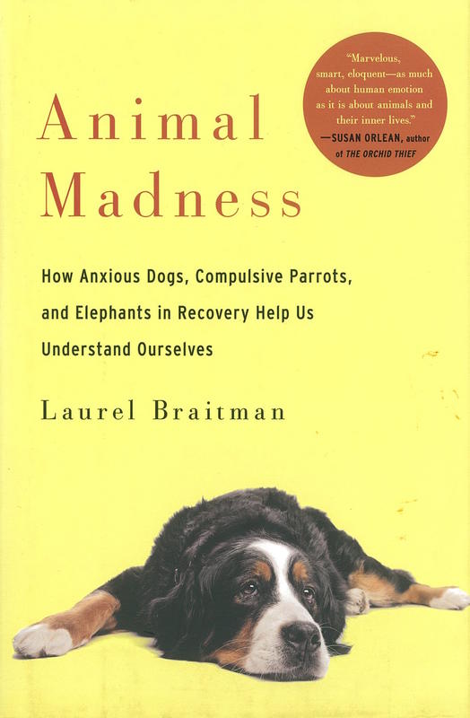 Animal madness : how anxious dogs, compulsive parrots, and elephants in recovery help us understand ourselves / Laurel Braitman cover