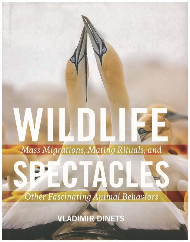 Wildlife spectacles : mass migrations, mating rituals, and other fascinating animal behaviours / Vladimir Dinets cover