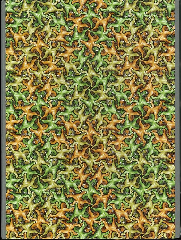 Strange creatures, complex tessellations / Richard Hassell cover