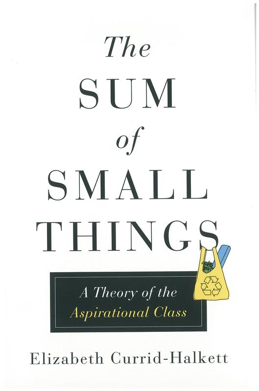The sum of small things : a theory of the aspirational class / Elizabeth Currid-Halkett cover