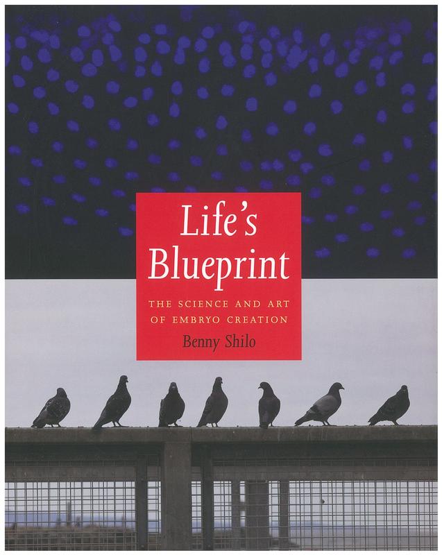 Life's blueprint : the science and art of embryo creation / Benny Shilo cover