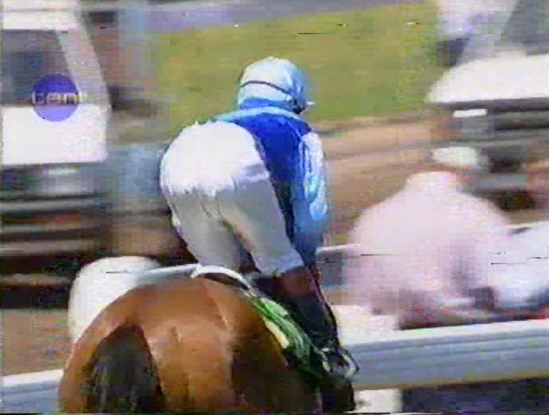 Melb Derby Day 2/11/96. Oaks 7/11/96. Sat 9/11/96 cover