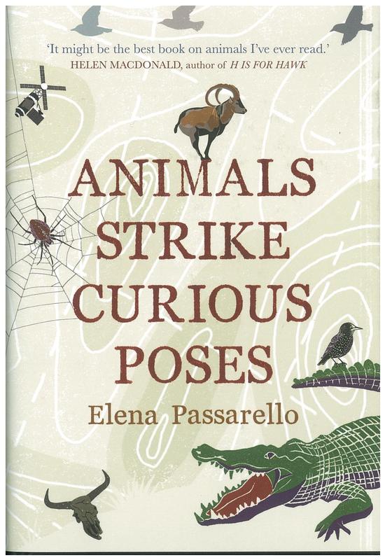 Animals strike curious poses : essays / Elena Passarello cover