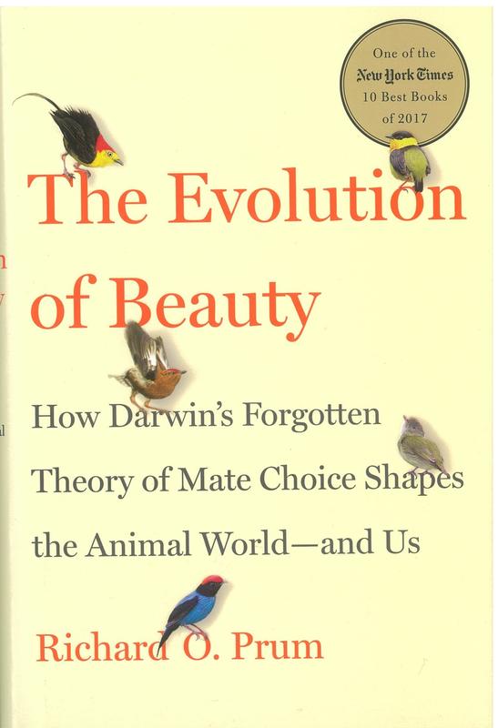 The evolution of beauty : how Darwin's forgotten theory of mate choice shapes the animal world - and us / Richard O. Prum cover