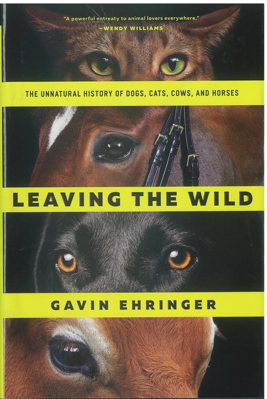 Leaving the wild : the unnatural history of dogs, cats, cows, and horses / Gavin Ehringer cover