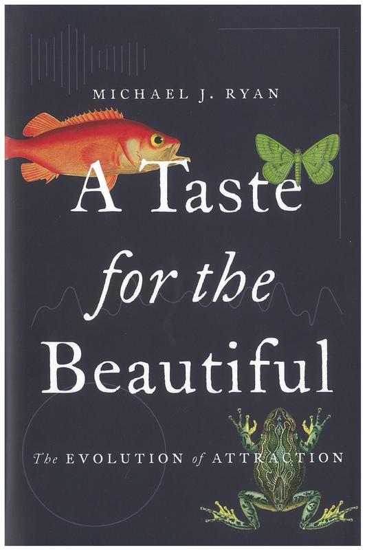 A taste for the beautiful : the evolution of attraction / Michael J. Ryan cover