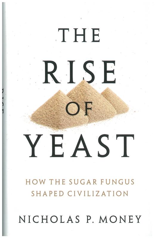 The rise of yeast :how the sugar fungus shaped civilization / Nicholas P. Money cover