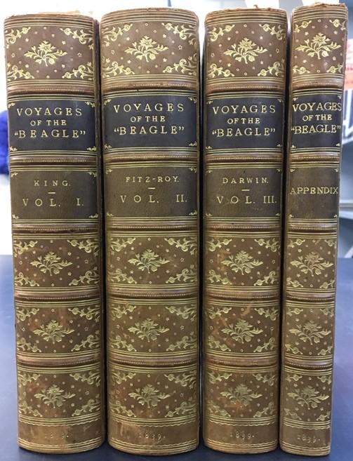 Narrative of the surveying voyages of His Majesty's ships Adventure and Beagle, between the years 1826 and 1836, describing their examination of the southern shores of South America, and the Beagle's circumnavigation of the globe : appendix to volume II / [by Robert Fitz-Roy] cover
