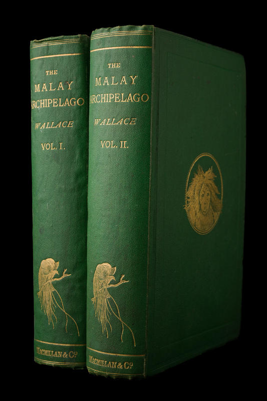 The Malay archipelago : the land of the orang-utan, and the bird of paradise. A narrative of travel, with studies of man and nature : vol.II / by Alfred Russel Wallace cover