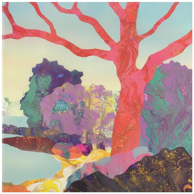 Kate Shaw : continuum cover