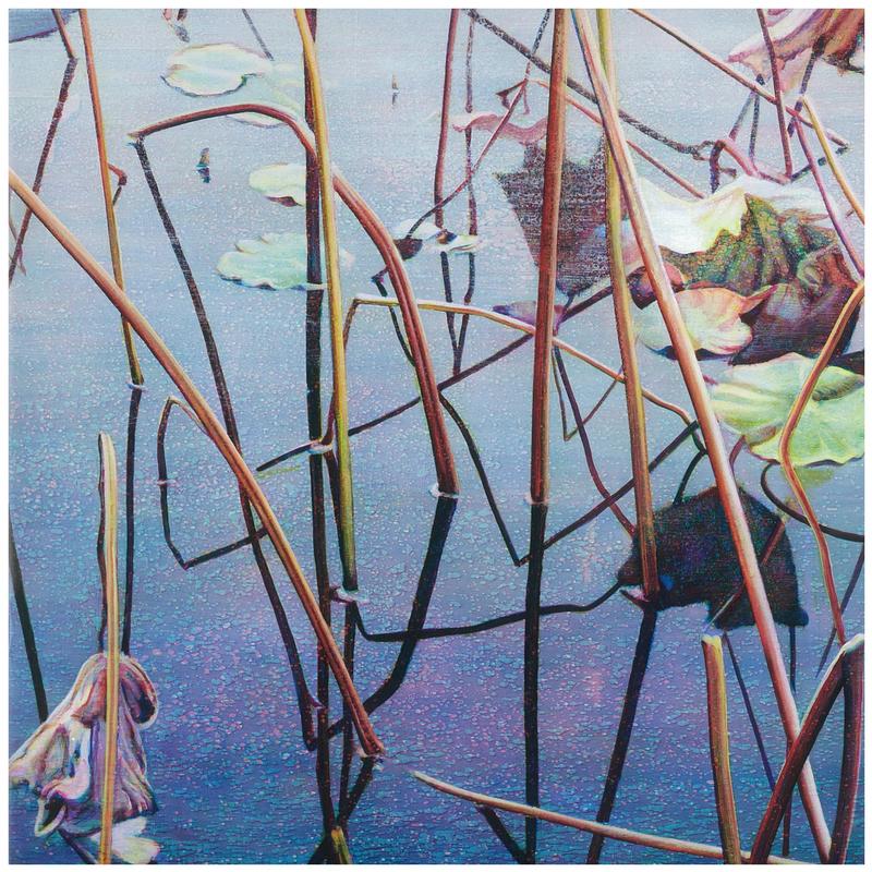 Tim Maguire : reflective cover