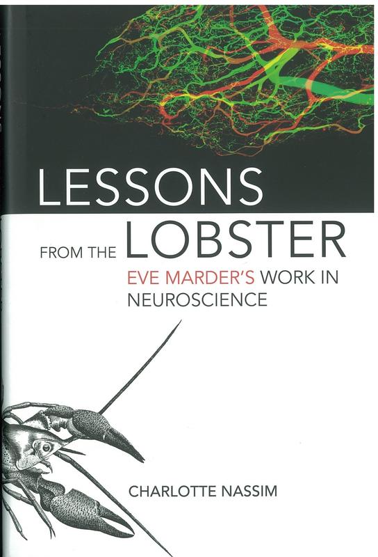 Lessons from the lobster : Eve Marder's work in neuroscience / Charlotte Nassim cover