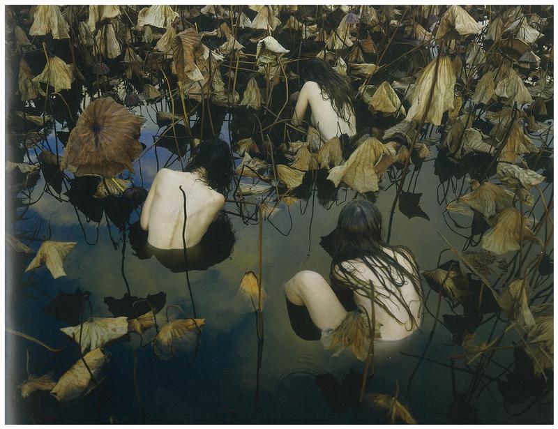 Tamara Dean : in our nature : 26 July - 19 August 2018 cover