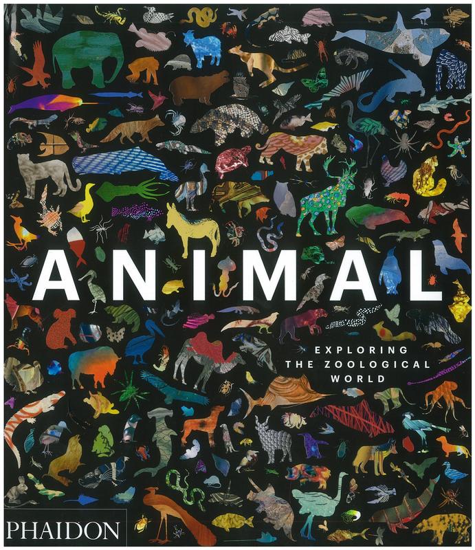 Animal : exploring the zoological world / [commissioning editor, Victoria Clarke] cover