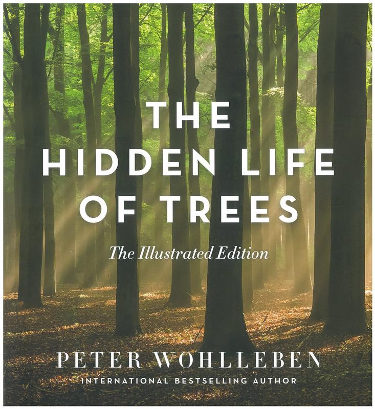 The hidden life of trees / Peter Wohlleben ; translated by Jane Billinghurst cover
