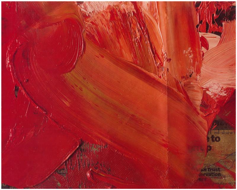 Jenny Saville : Migrants cover