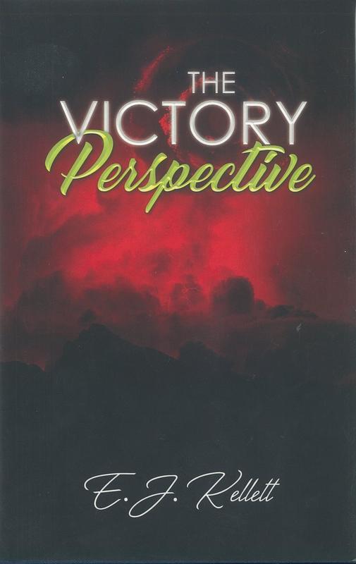 The victory perspective / E. J. Kellett cover