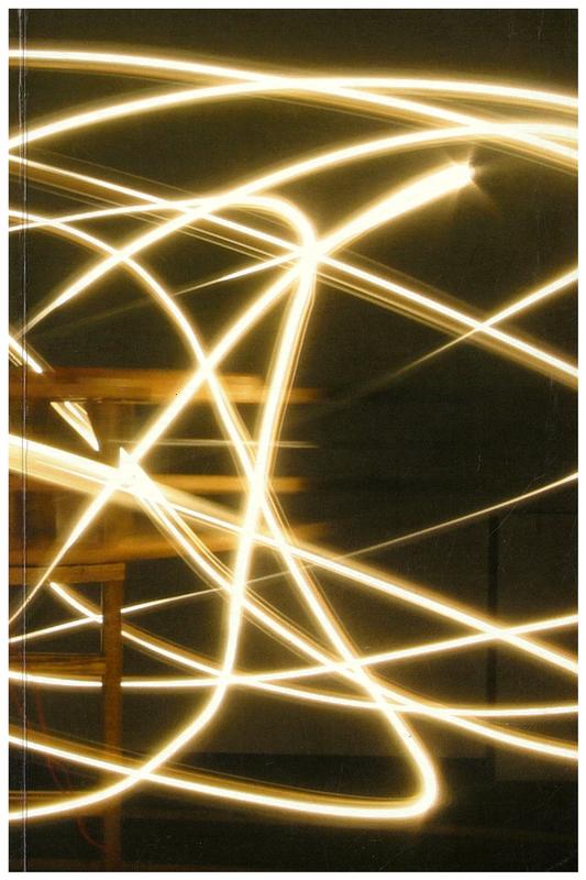 Conrad Shawcross: the steady states cover