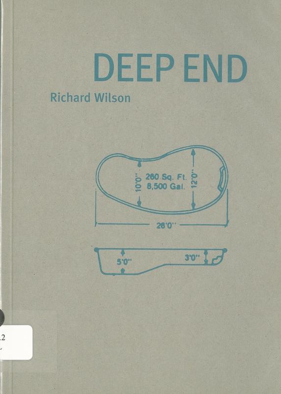 Deep End / Richard Wilson and Paul Schimmel cover