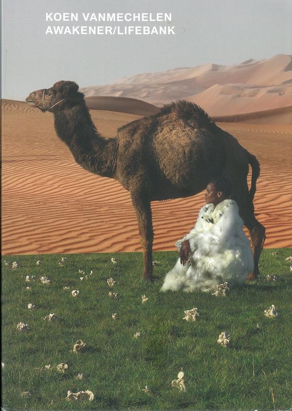 Koen Vanmechelen : awakener/lifebank / James Putnam & Jill Silverman van Coenegrachts cover