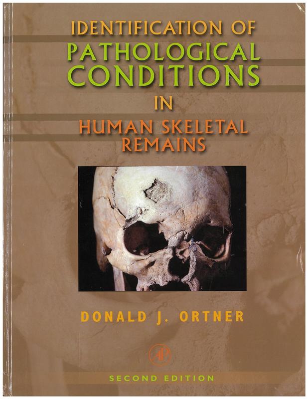 Identification of pathological conditions in human skeletal remains / Donald J. Ortner cover