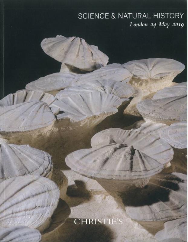 Science and natural history : Friday 24 May 2019 / Christie's cover