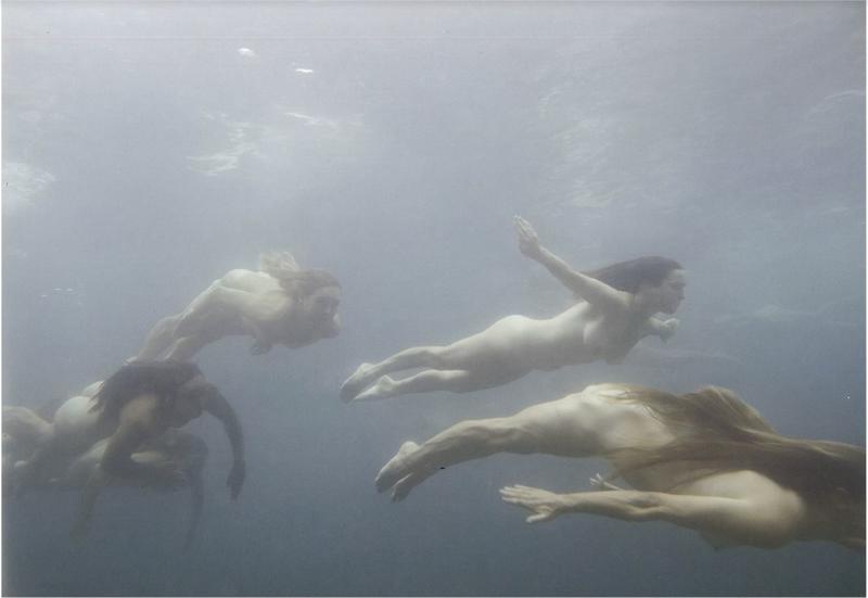 Tamara Dean : endangered cover