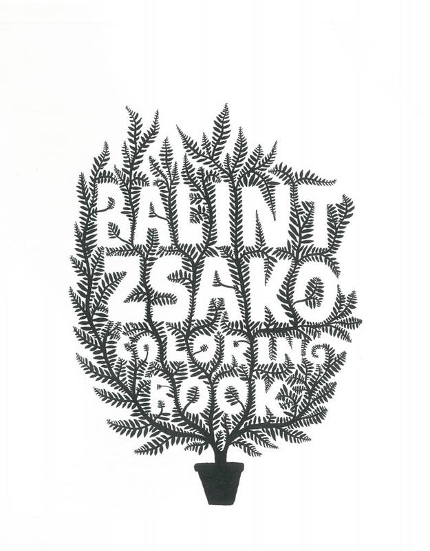 Balint Zsako : colouring book cover