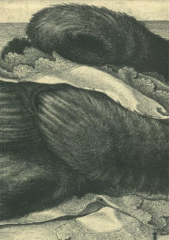 Peep box : catalogue 53, 2019 / Kunsthandlung Helmut H. Rumbler cover