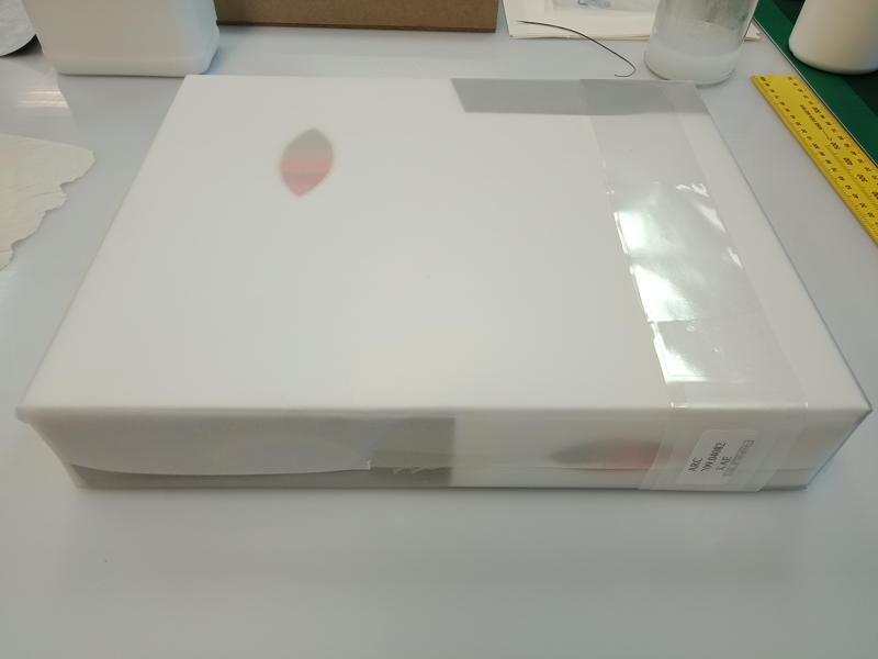 Eat the problem / by Kirsha Kaechele cover