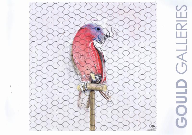 Collectable + exceptional : the Director's choice 2010 / Gould Galleries cover