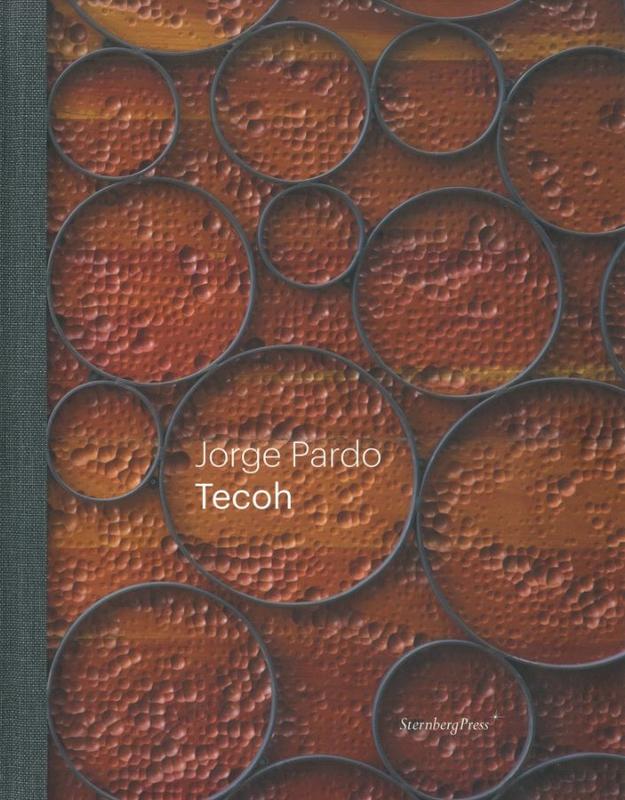 Tecoh / Jorge Pardo ; [editor, Alex Coles] cover