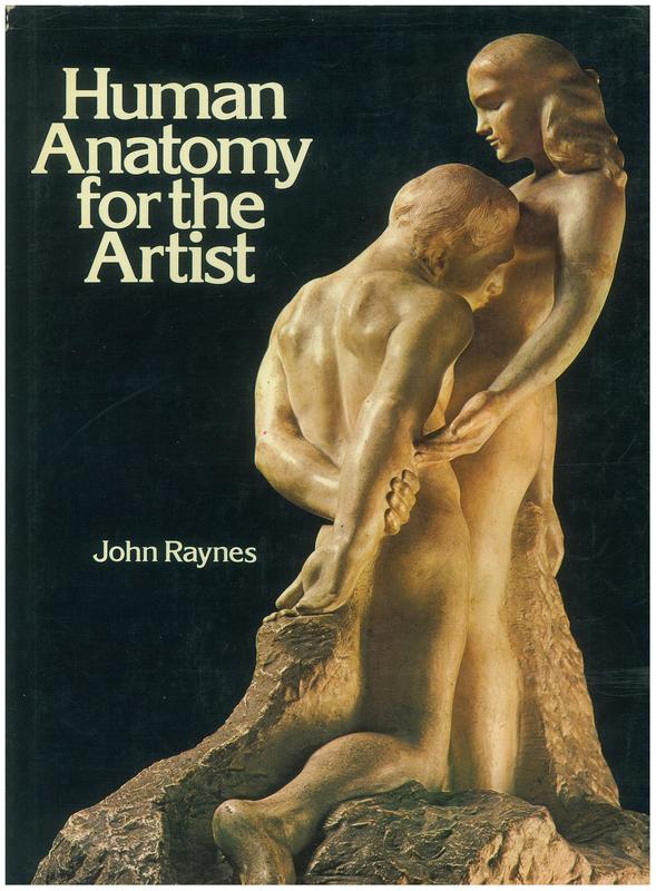 Human anatomy for the artist / John Raynes cover