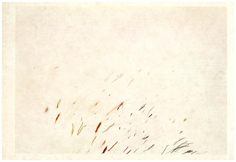 Cy Twombly : bilder und zeichnungen cover